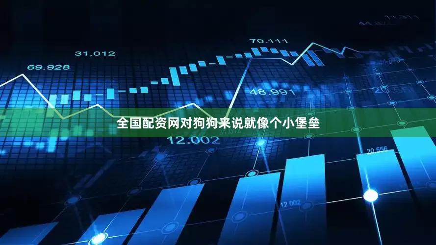 全国配资网对狗狗来说就像个小堡垒
