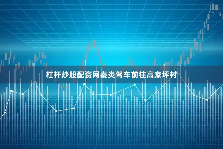杠杆炒股配资网秦炎驾车前往高家坪村