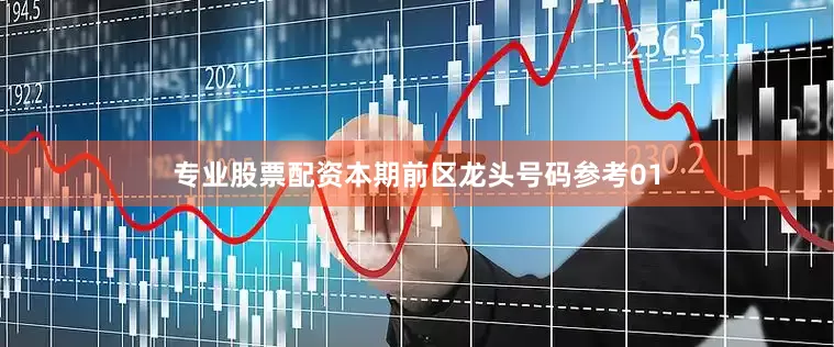 专业股票配资本期前区龙头号码参考01