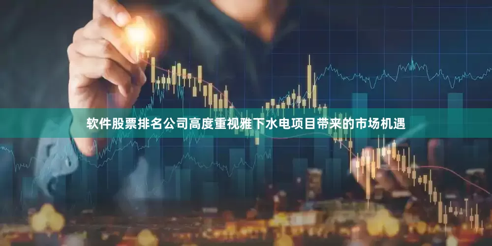 软件股票排名公司高度重视雅下水电项目带来的市场机遇