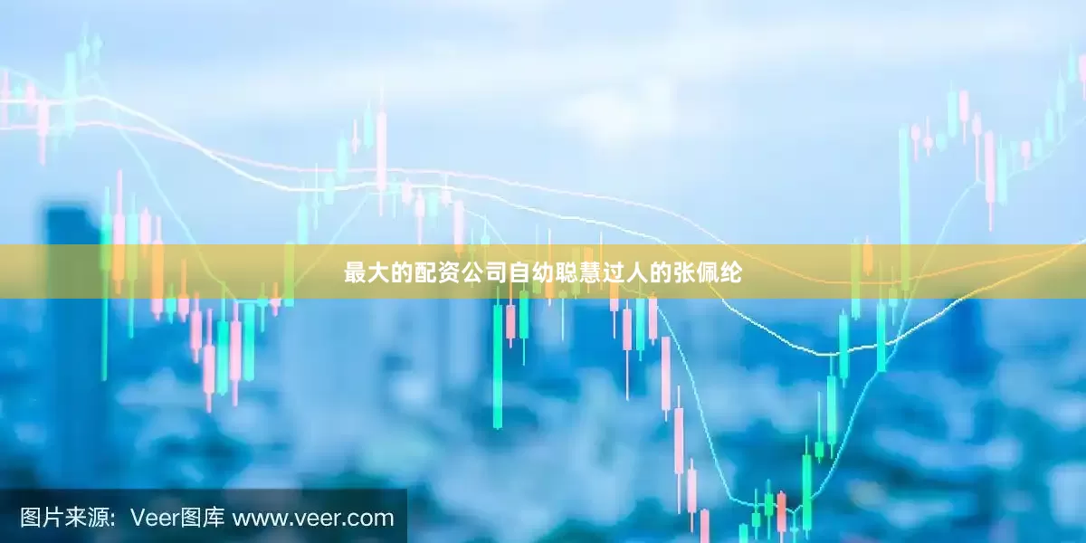 最大的配资公司自幼聪慧过人的张佩纶